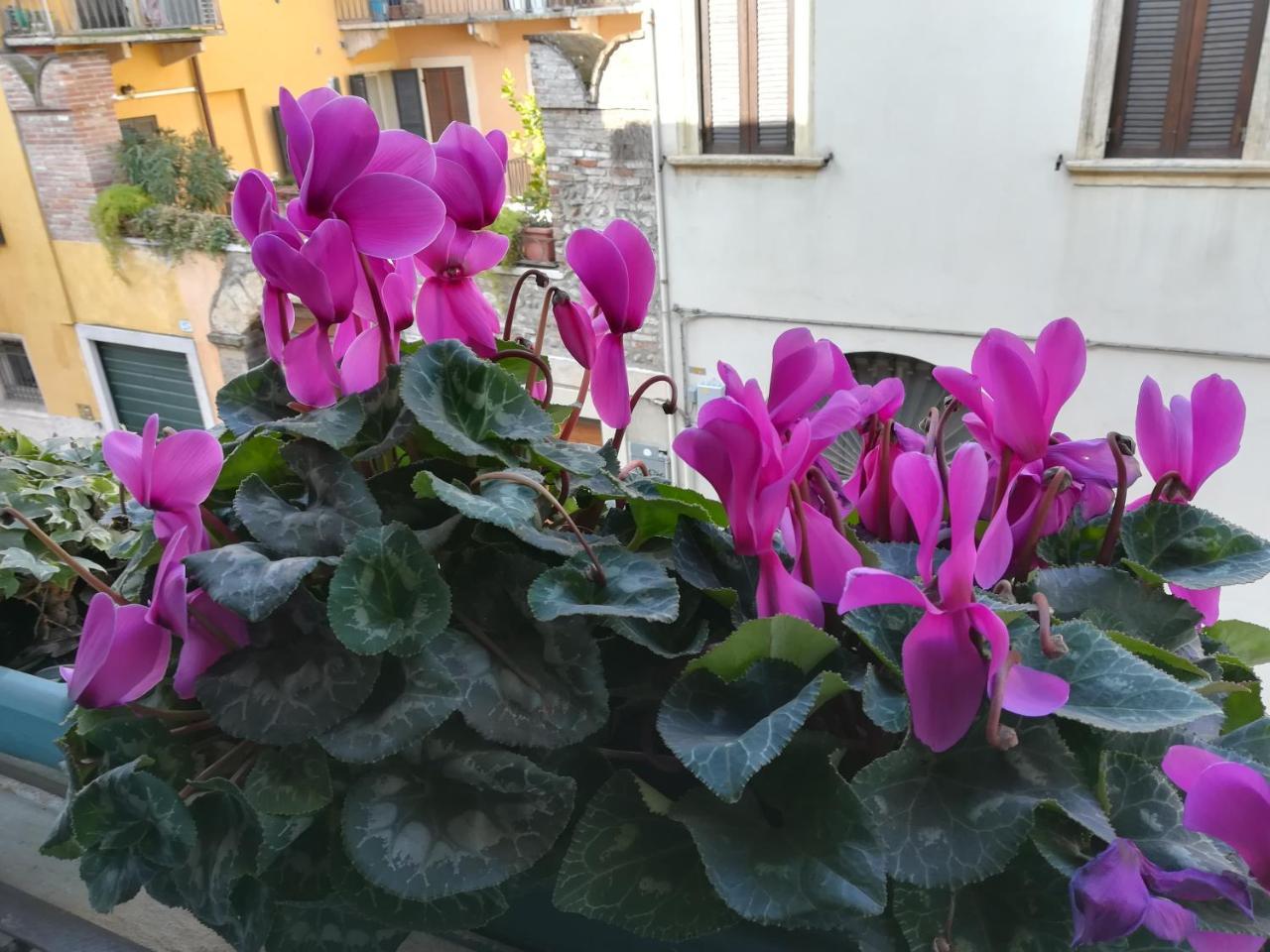 מלון ורונה A Casa Di Luca מראה חיצוני תמונה